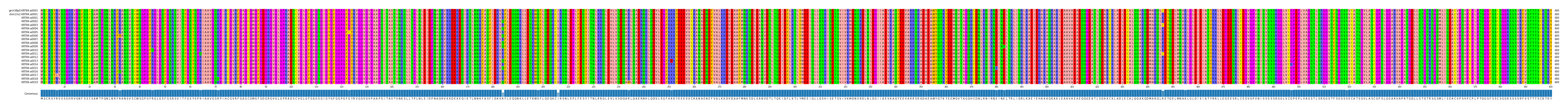 Multiple Alignments (by translate haplotype frequency)