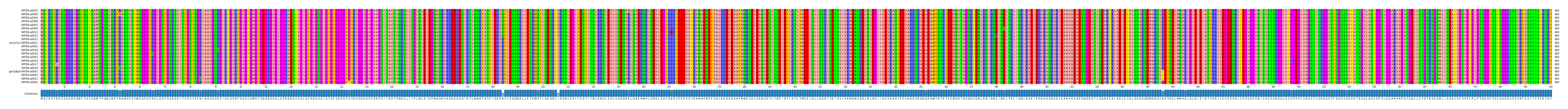 Multiple Alignments (by translate haplotype similarity)
