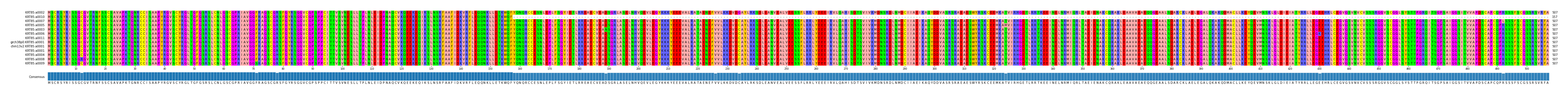 Multiple Alignments (by translate haplotype similarity)