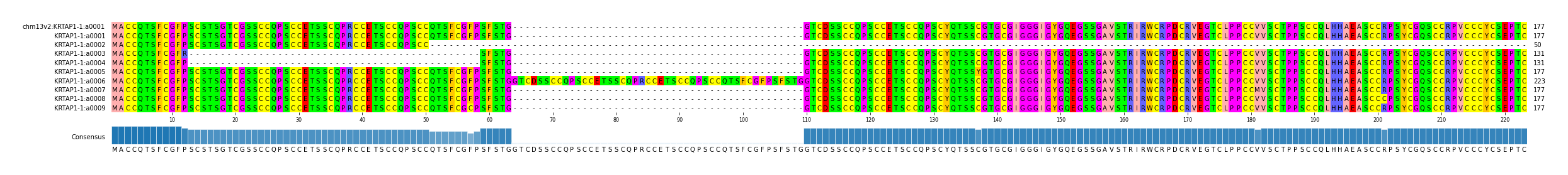 Multiple Alignments (by translate haplotype frequency)