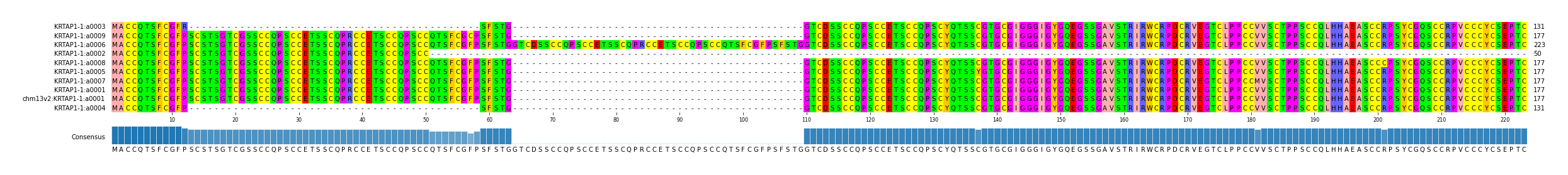 Multiple Alignments (by translate haplotype similarity)