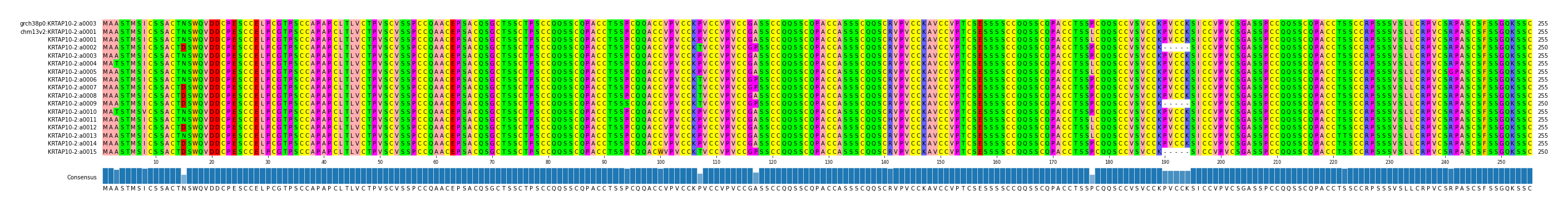 Multiple Alignments (by translate haplotype frequency)
