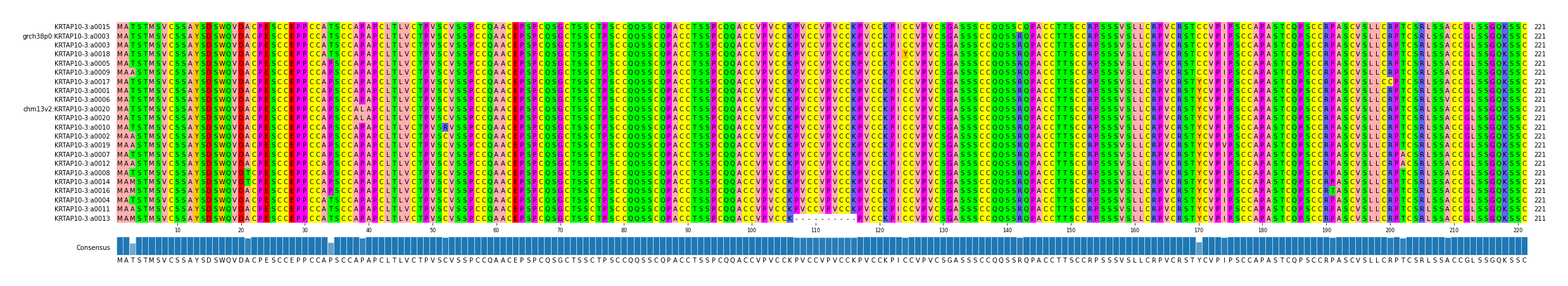 Multiple Alignments (by translate haplotype similarity)