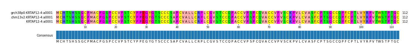 Multiple Alignments (by translate haplotype similarity)