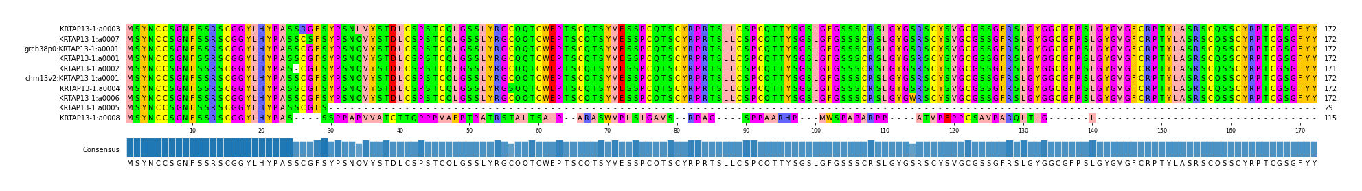 Multiple Alignments (by translate haplotype similarity)