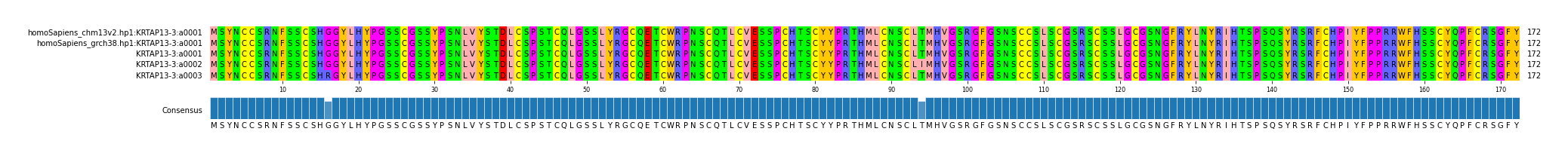 Multiple Alignments (by translate haplotype frequency)