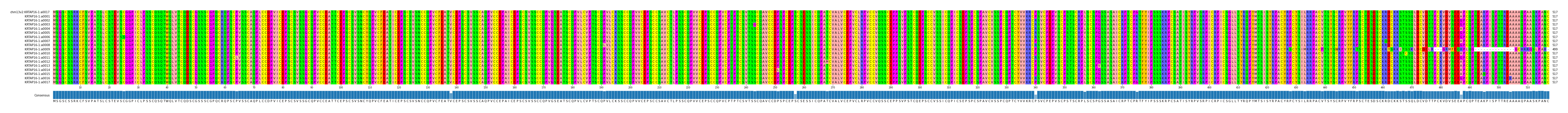 Multiple Alignments (by translate haplotype frequency)