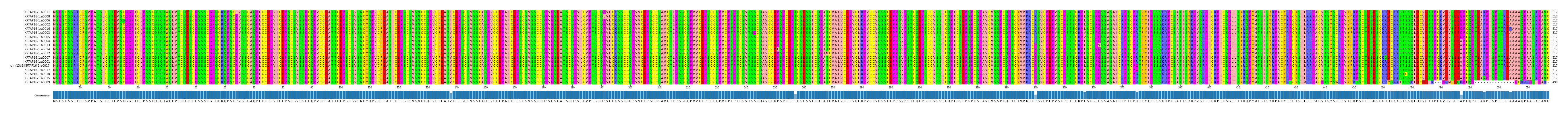 Multiple Alignments (by translate haplotype similarity)