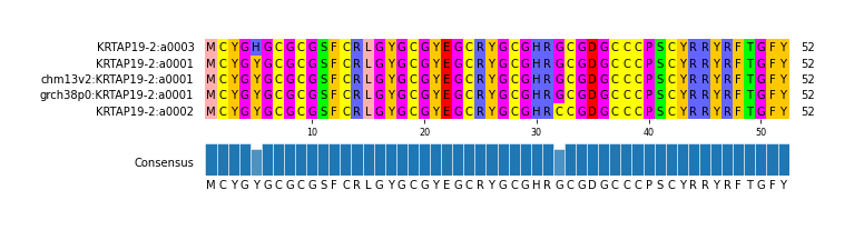 Multiple Alignments (by translate haplotype similarity)