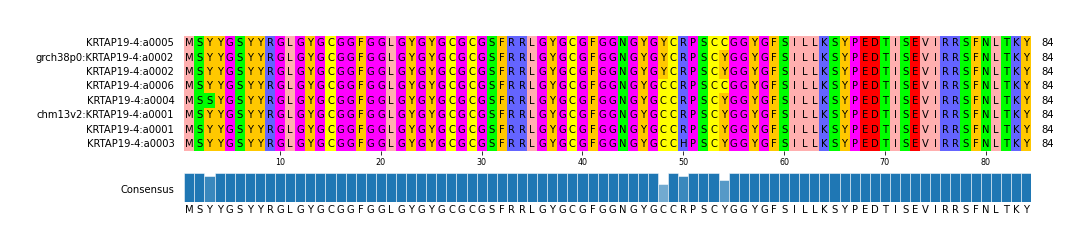 Multiple Alignments (by translate haplotype similarity)