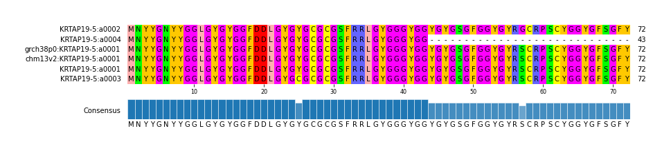Multiple Alignments (by translate haplotype similarity)