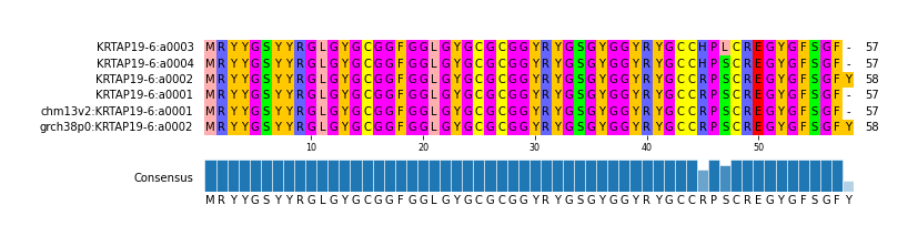 Multiple Alignments (by translate haplotype similarity)