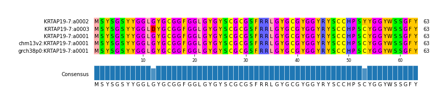 Multiple Alignments (by translate haplotype similarity)
