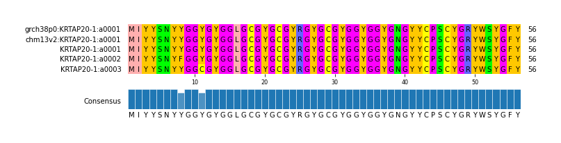 Multiple Alignments (by translate haplotype frequency)