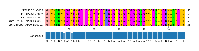 Multiple Alignments (by translate haplotype similarity)