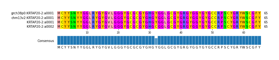 Multiple Alignments (by translate haplotype similarity)