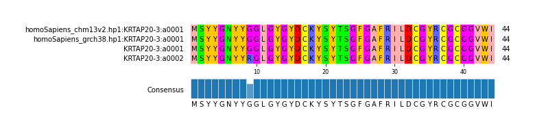 Multiple Alignments (by translate haplotype similarity)
