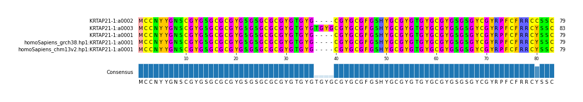 Multiple Alignments (by translate haplotype similarity)