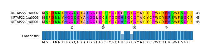 Multiple Alignments (by translate haplotype similarity)