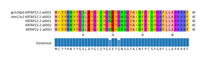 Multiple Alignments (by translate haplotype frequency)