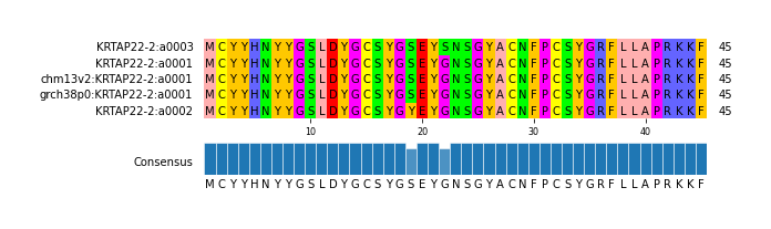 Multiple Alignments (by translate haplotype similarity)
