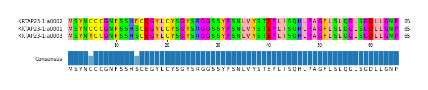 Multiple Alignments (by translate haplotype similarity)