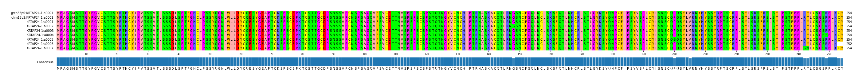 Multiple Alignments (by translate haplotype frequency)