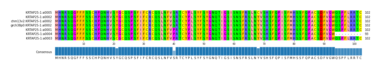 Multiple Alignments (by translate haplotype similarity)