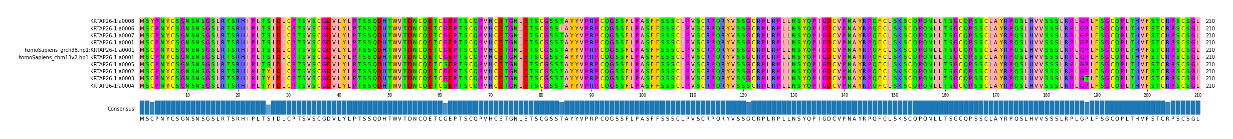 Multiple Alignments (by translate haplotype similarity)