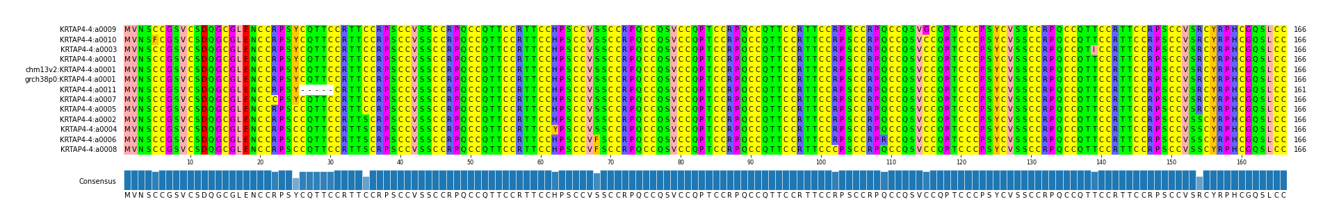 Multiple Alignments (by translate haplotype similarity)