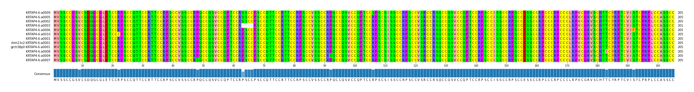 Multiple Alignments (by translate haplotype similarity)