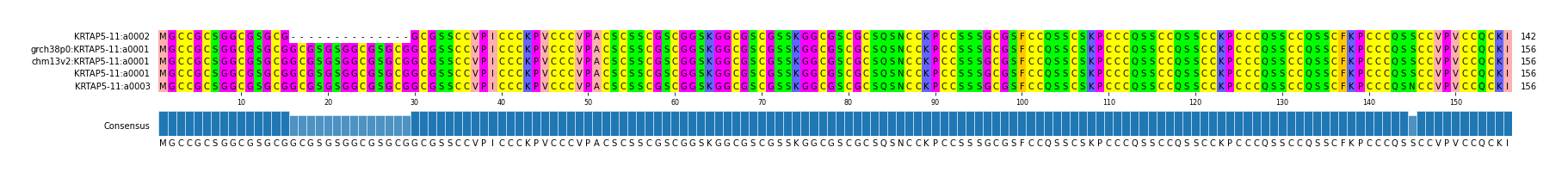 Multiple Alignments (by translate haplotype similarity)