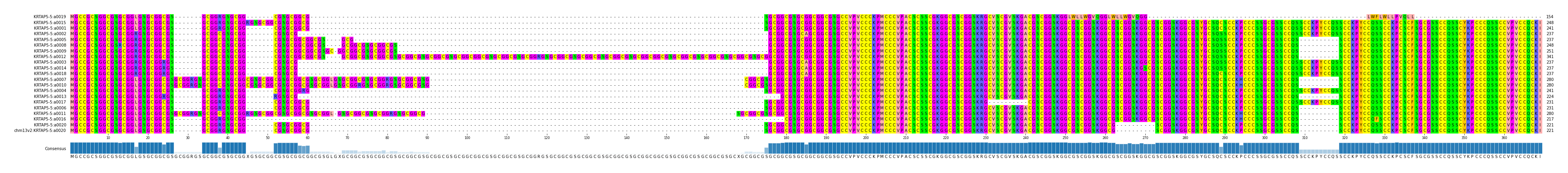 Multiple Alignments (by translate haplotype similarity)