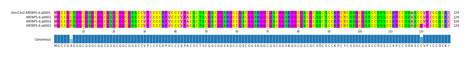 Multiple Alignments (by translate haplotype similarity)