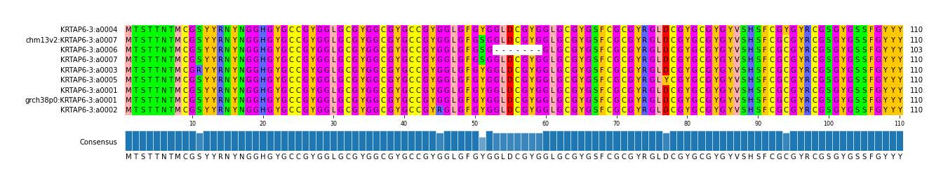 Multiple Alignments (by translate haplotype similarity)