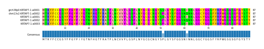 Multiple Alignments (by translate haplotype frequency)