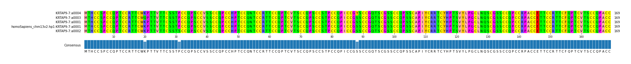 Multiple Alignments (by translate haplotype similarity)