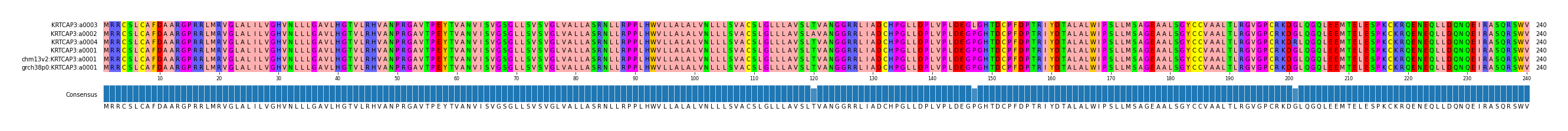 Multiple Alignments (by translate haplotype similarity)