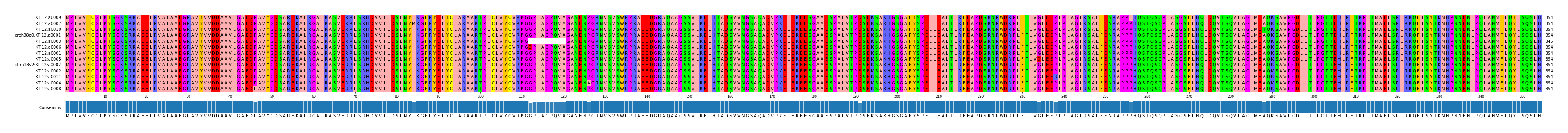 Multiple Alignments (by translate haplotype similarity)