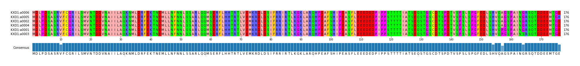 Multiple Alignments (by translate haplotype similarity)
