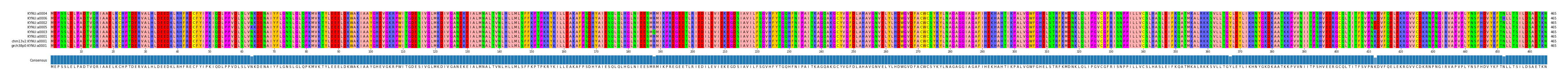 Multiple Alignments (by translate haplotype similarity)