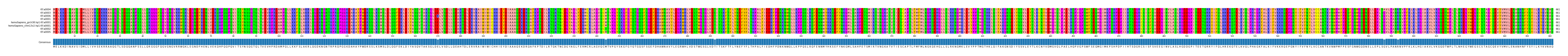 Multiple Alignments (by translate haplotype similarity)