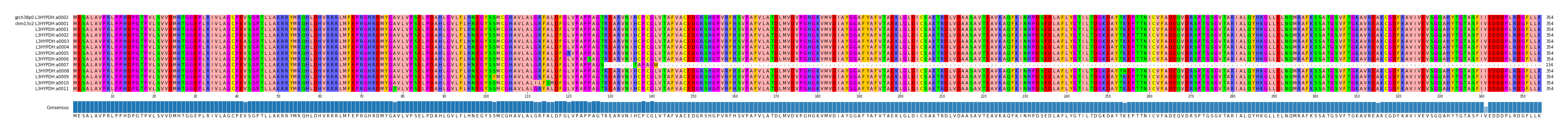 Multiple Alignments (by translate haplotype frequency)