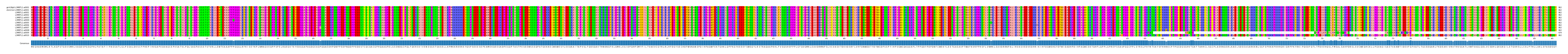 Multiple Alignments (by translate haplotype frequency)