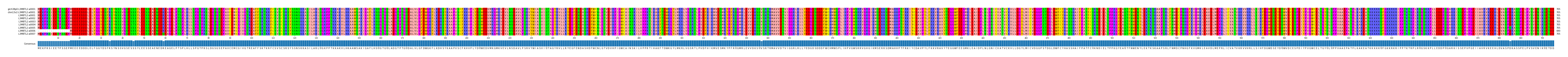Multiple Alignments (by translate haplotype frequency)