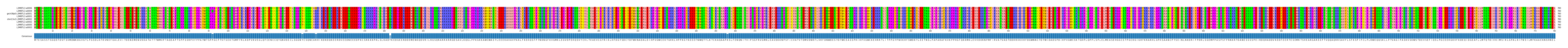 Multiple Alignments (by translate haplotype similarity)