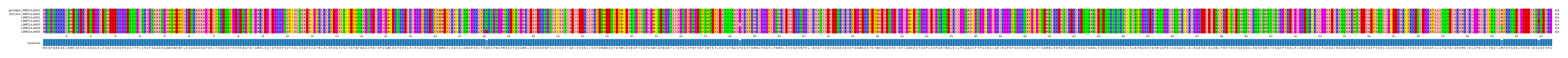 Multiple Alignments (by translate haplotype frequency)