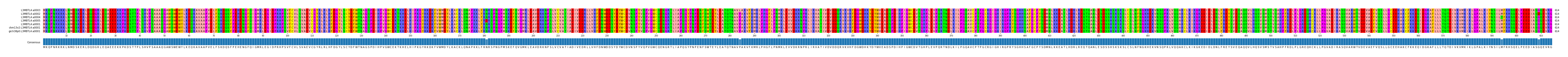 Multiple Alignments (by translate haplotype similarity)