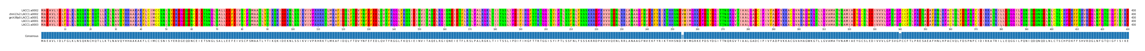 Multiple Alignments (by translate haplotype similarity)