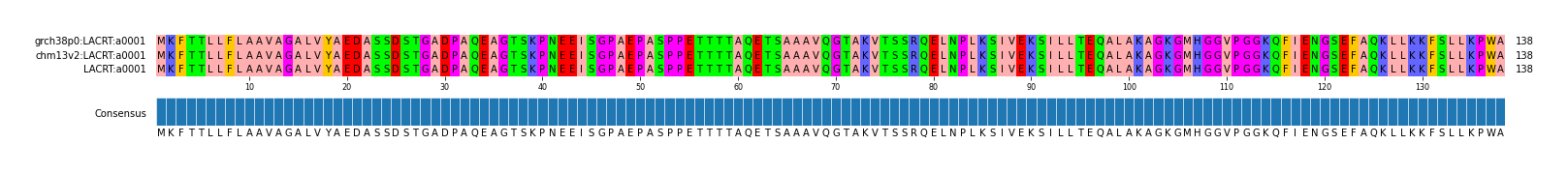 Multiple Alignments (by translate haplotype similarity)